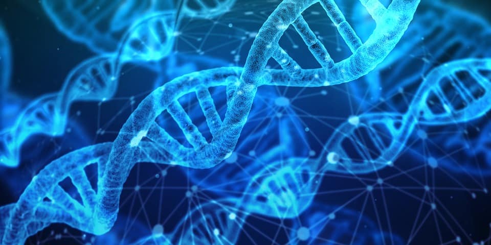 Cardano [ADA] Prepares for New Developments in the Cryptocurrency Market