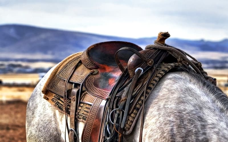 Californian Coinbase is Back in Wyoming!