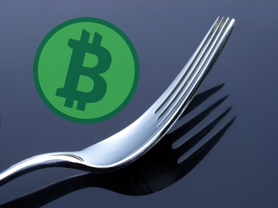 Bitcoin Cash Reveals Upcoming Fork Updates