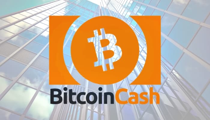 What is Bitcoin Cash (BCH)? (+ VIDEO)