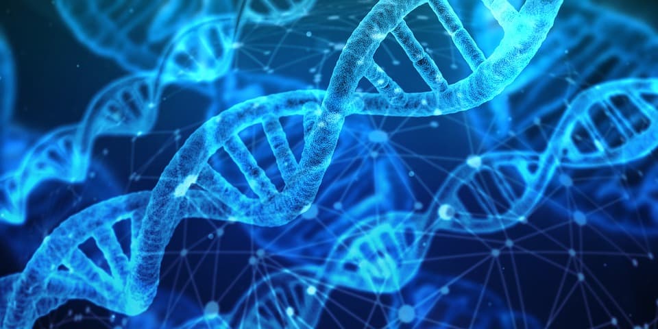 Cardano [ADA] Prepares for New Developments in the Cryptocurrency Market
