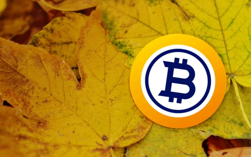 Bitcoin Gold