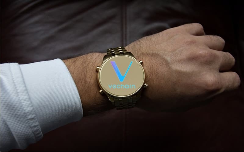 Introduction to VeChain: What Is VET Coin and VTHO