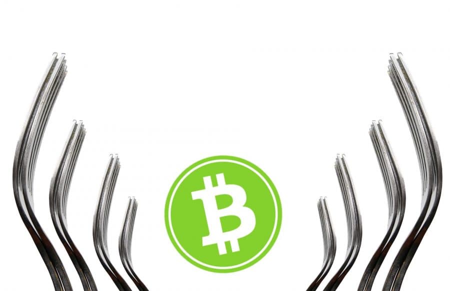 Bitcoin Cash Fork