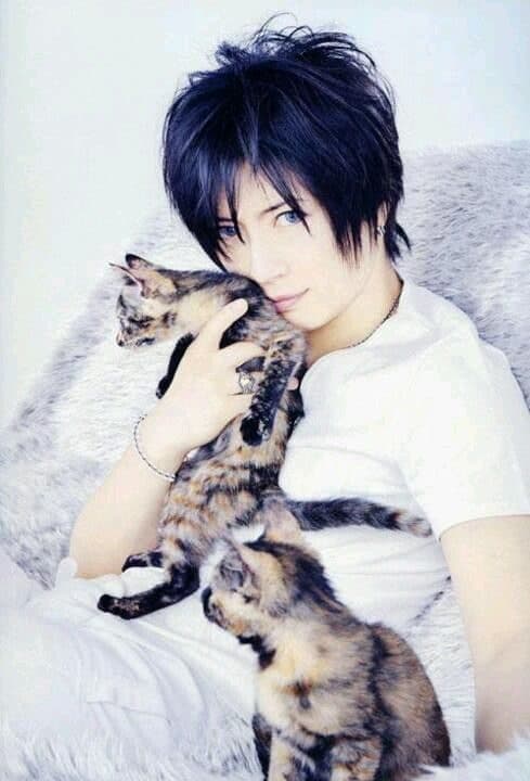 The Curious Case of GACKT, Spindle and the Japanese Minister of Internal Affairs