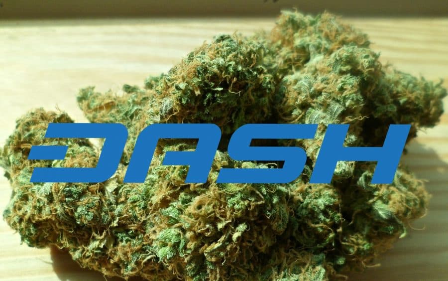 Will DASH Be the "PayPal of Legal Cannabis Industry"?