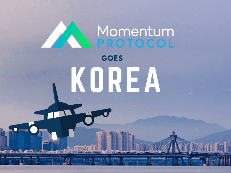 momentum protocol