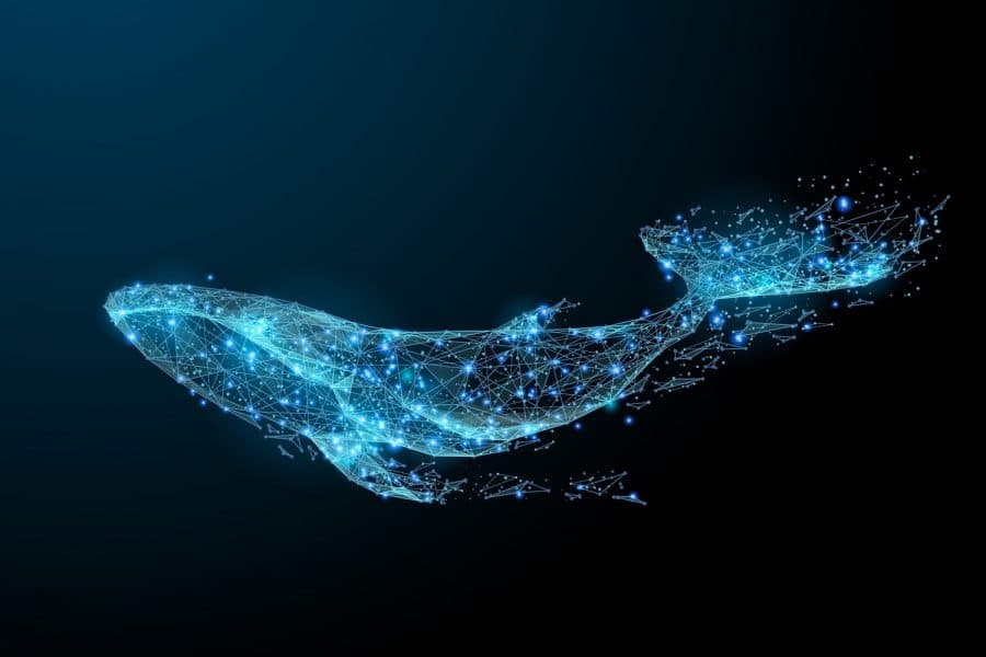 Bitfinex Tether