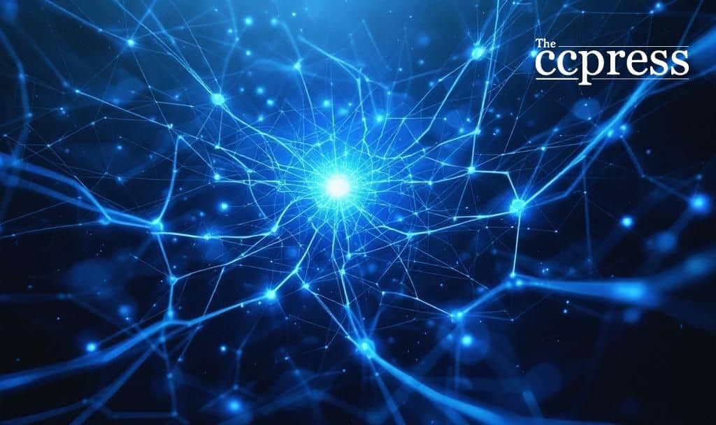 Ripple's Alleged Partnership with Jeel Movement Sparks Interest