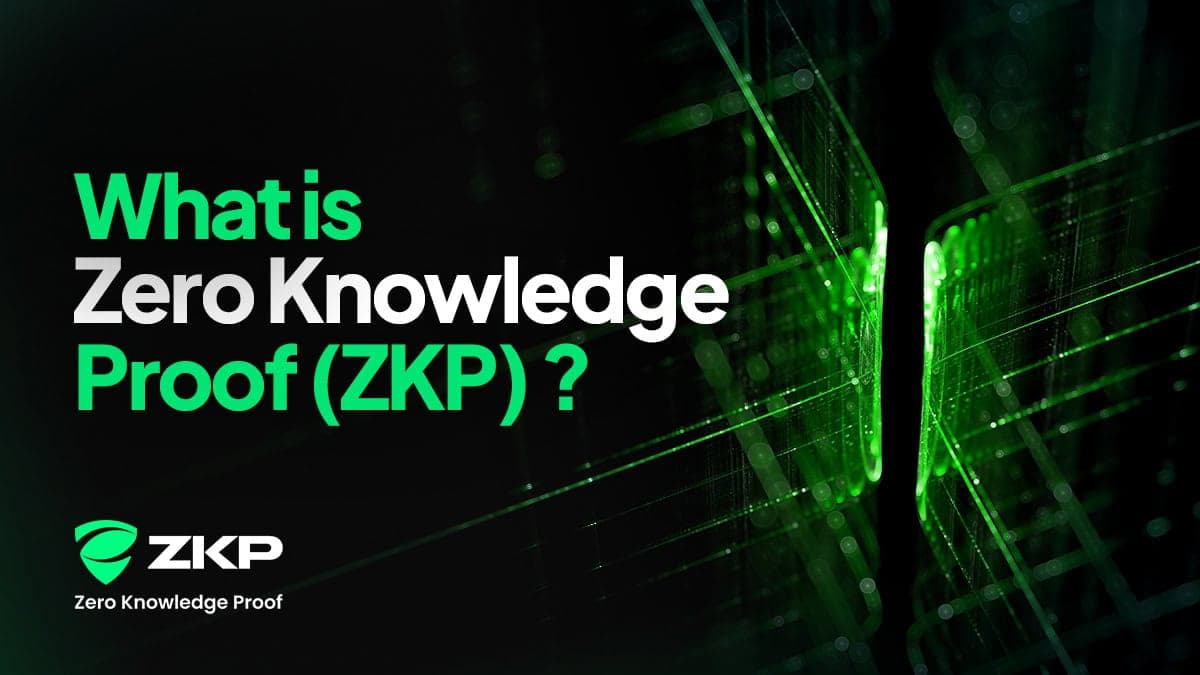 What is Zero Knowledge Proof? Here’s Why $100M in Pre-Built Tech Makes It the Best Crypto to Buy