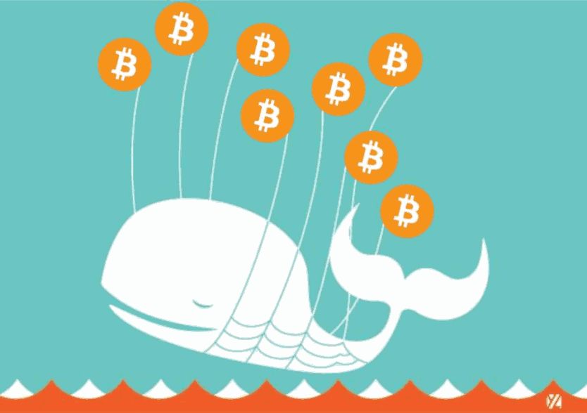 Bitcoin Whale Li Xiaolai