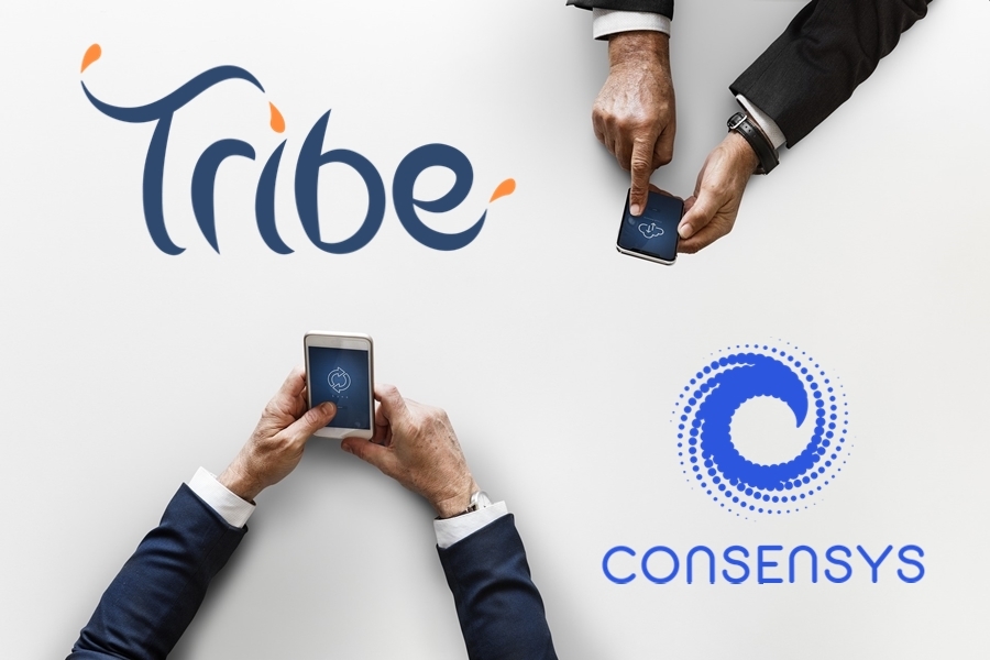 Tribe Accelerator ConsenSys