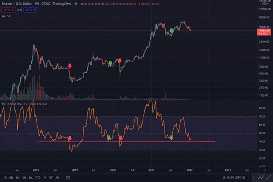 Bitcoin Will Grow or Fall