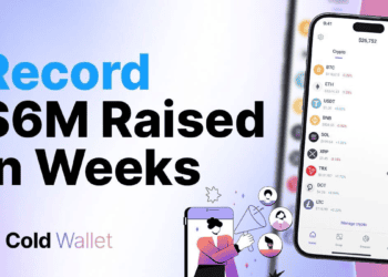 Cold Wallet, XRP, Pi Coin: Turning Visibility Into Real Crypto Value