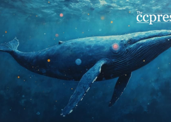 blue whale crypto regulation art