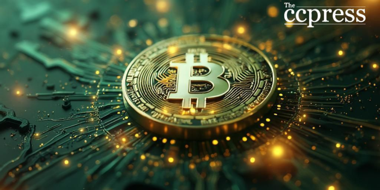 hedera bitcoin tech fusion art