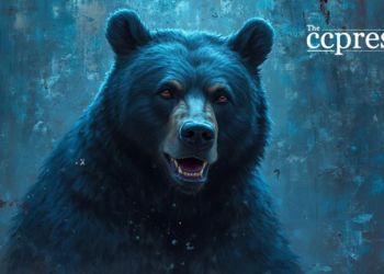 sleek bear crypto chaos art