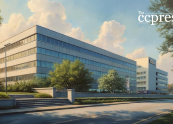vivopower hq oil painting
