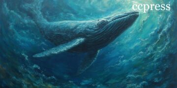 A Whale Buys 1 Billion PUMP Tokens, Triggering Market Interest