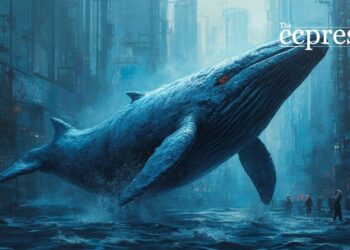 Crypto Whale Shifts Millions; ASTER and XPL Impacted