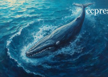 Whale Buys 1 Billion PUMP Tokens, Triggers Market Volatility