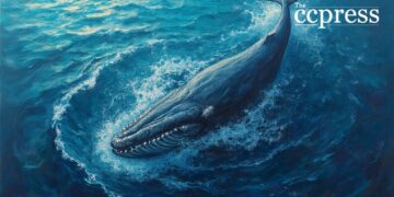 Whale Buys 1 Billion PUMP Tokens, Triggers Market Volatility