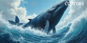Whale Purchase Sparks PUMP Token Surge