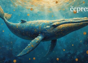 Whale Acquires 1B PUMP Tokens Signaling Market Shift