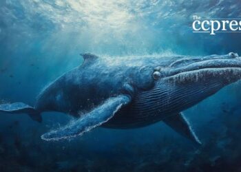 Whale Acquires PUMP Tokens Triggering Market Dynamics