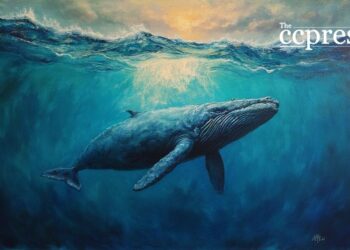 Whale Moves & Solana's Ecosystem: Analyzing the Crypto Market