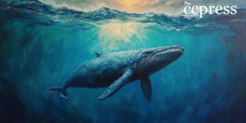 Whale Moves & Solana's Ecosystem: Analyzing the Crypto Market