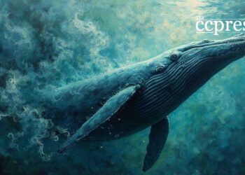 PUMP Whale Buys 1.1B Tokens for $8M