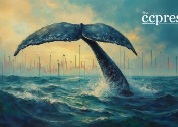 ASTER Price May Rebound Amid Whale Activity