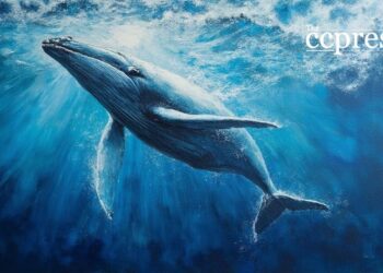 Chainlink's Whale Accumulation Prompts Potential Price Rebound