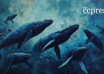Whales Short XRP, DOGE, Ahead of Powell's Speech