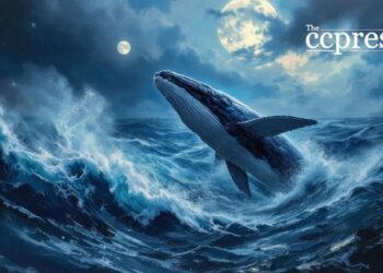 Ethereum Price Dynamics: Whale Activity and Market Trends