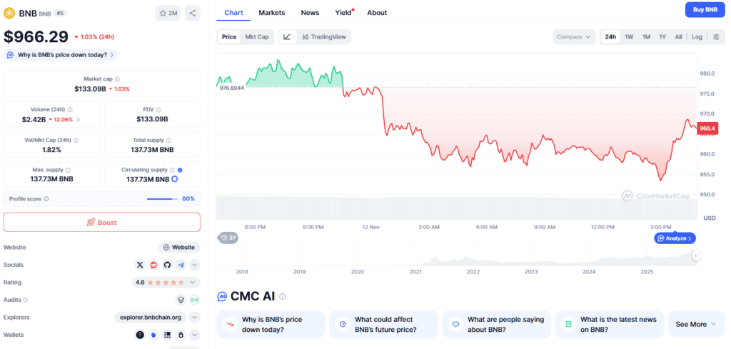 BNB Falls as Market Momentum Eases
