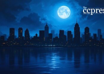 Rumors Dispelled: No Nighttime Bitcoin ETF Filing