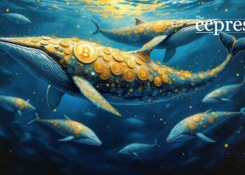 Bitcoin Whales Accumulating $23 Billion Worth of BTC: Market Implications