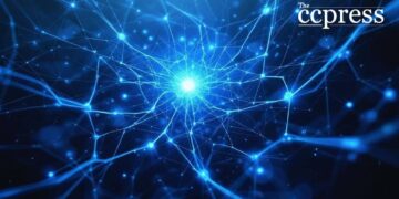 Ripple's Alleged Partnership with Jeel Movement Sparks Interest