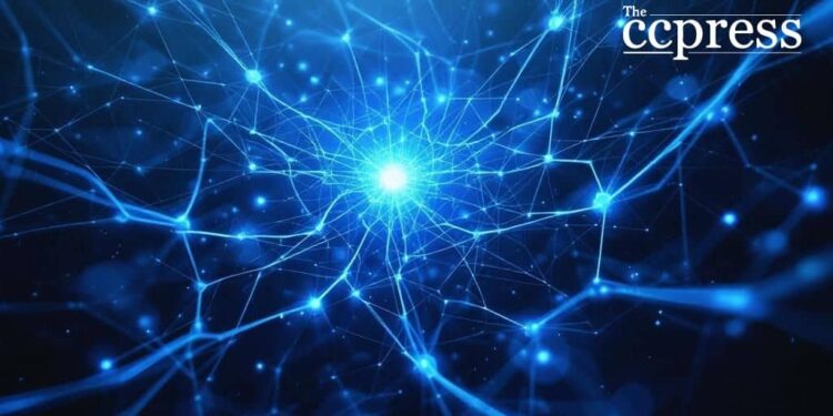 Ripple's Alleged Partnership with Jeel Movement Sparks Interest