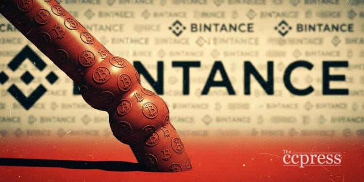 Bitcoin sees whale inflows as 5000 BTC hit Binance