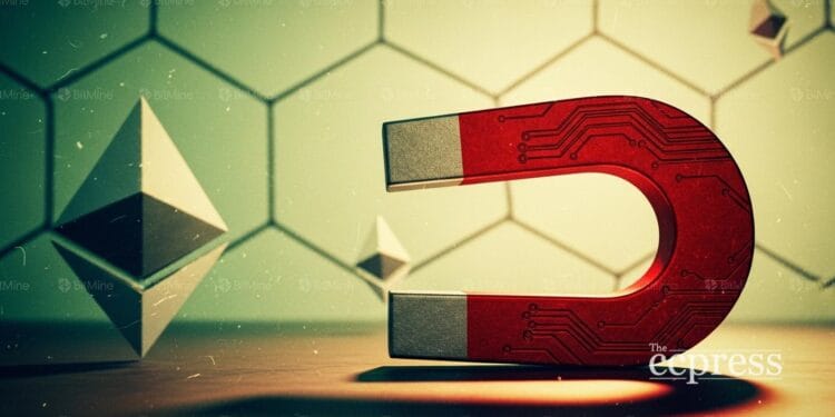 Ethereum attracts flows as funds add BitMine exposure