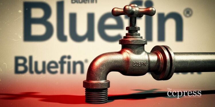 Sui dips as Bluefins Nexa terminal shuts on low volume