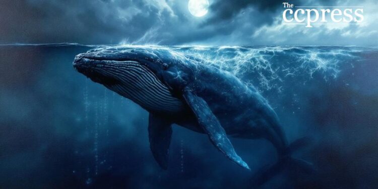 Cryptocurrency Whale Liquidates Major Ethereum Holdings