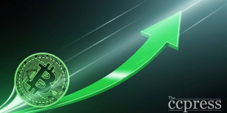 crypto relief rally bitcoin bounces options expiry alts momentum thumbnail