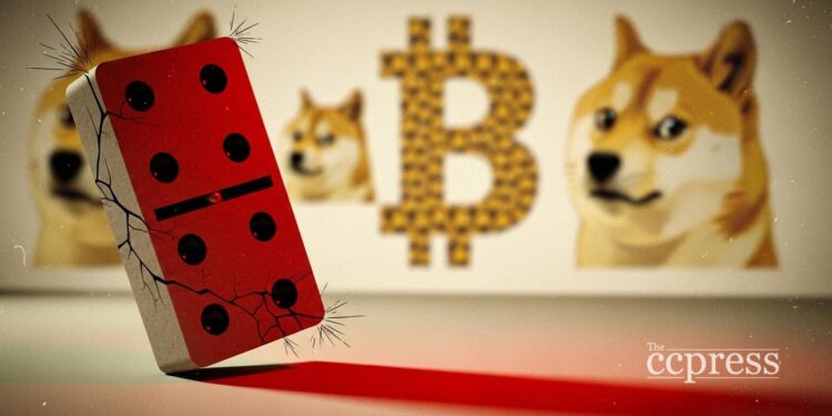 dogecoin support open interest risk