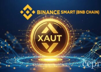 tether xaut bnb chain thumbnail
