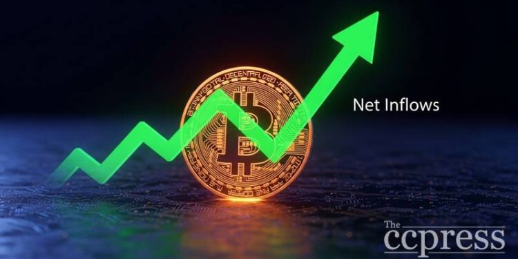 bitcoin etfs record over 823 million in weekly net inflows thumbnail