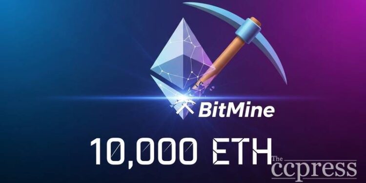 bitmine purchase 10000 eth ethereum foundation report thumbnail
